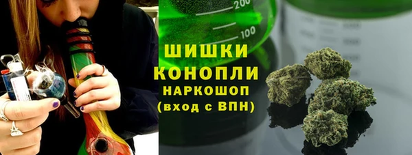 шишки Баксан