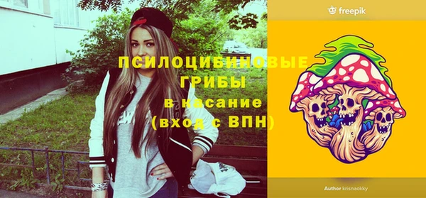 шишки Баксан