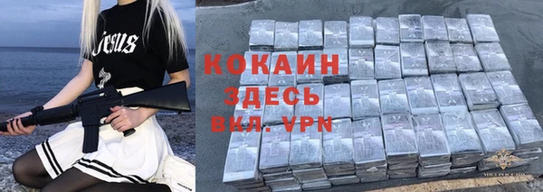 шишки Баксан